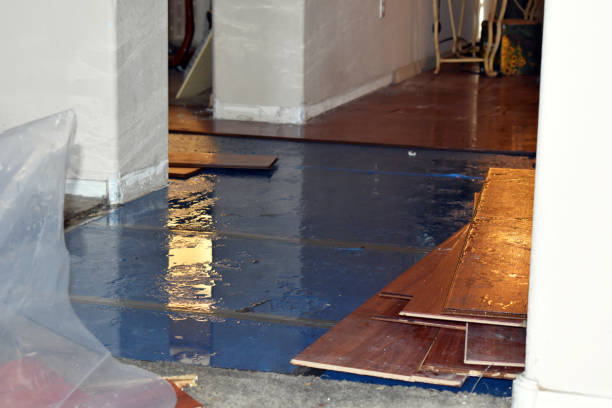 Professional Burst Pipe Cleanup technician working in Woodbine, GA